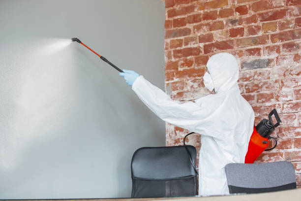 Best Mold Removal for HVAC Installations  in Haviland, NY