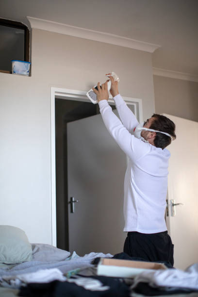 Best Real Estate Mold Inspection  in Haviland, NY