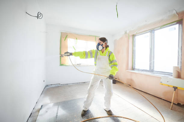 Best Environmental Consulting for Mold Prevention  in Haviland, NY