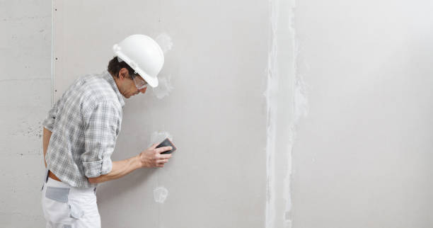 Trusted Haviland, NY Mold Removal Experts