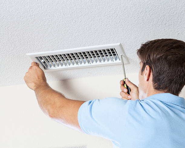 Professional Mold Removal in Haviland, NY