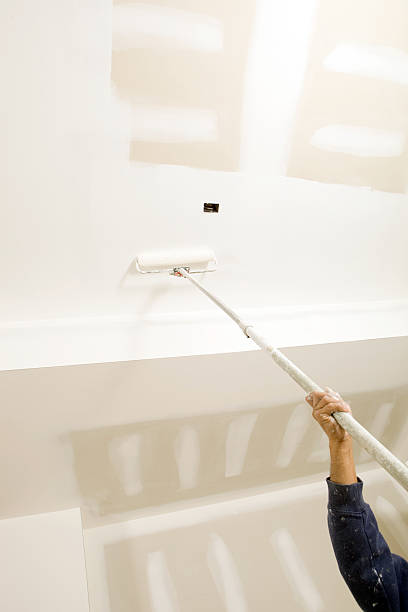 Mold Removal for HVAC Installations in Haviland, NY