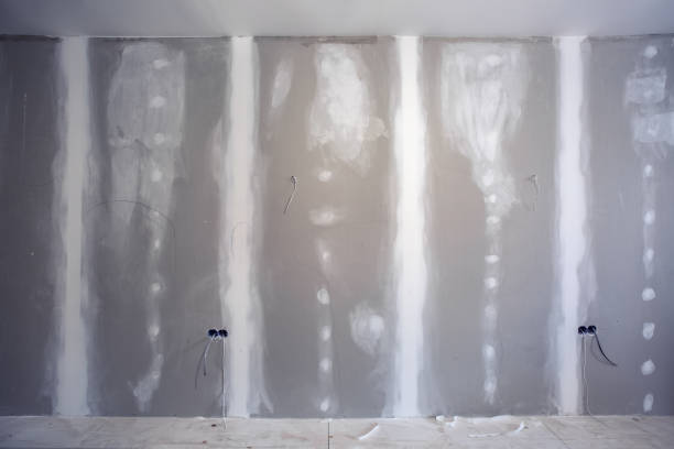 Best Post-Construction Mold Inspection  in Haviland, NY
